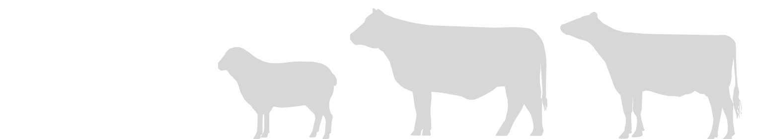 Dairy-Beef-Sheep-icon-01