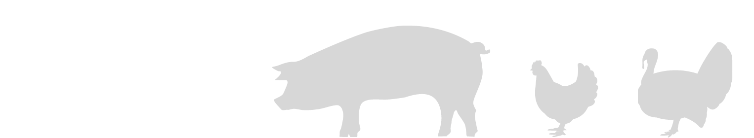 Swine-chicken-turkey-icon-02